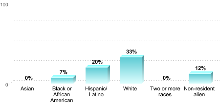 Graph showing 0% for Asian, 7% for Black or African American, 20% for Hispanic/Latino, 33% for White, 0% for two or more races, and 12% for non-resident alien.